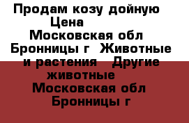 Продам козу дойную › Цена ­ 6 000 - Московская обл., Бронницы г. Животные и растения » Другие животные   . Московская обл.,Бронницы г.